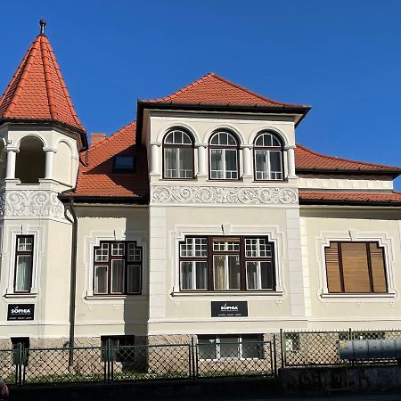 Vila Marioara Sibiu Buitenkant foto